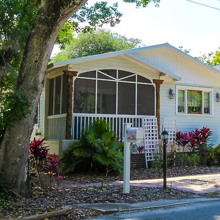 Luxurious Bohemian Bungalow In Lincolnville - Mins From Downtown! St. Augustine Kültér fotó